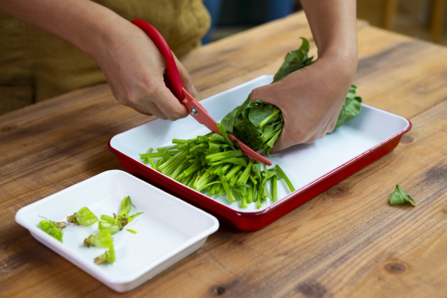 カーブキッチンバサミ