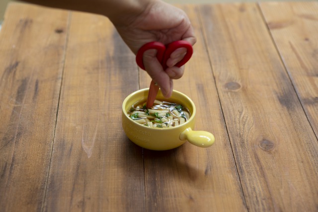 ハンディスニップバサミ