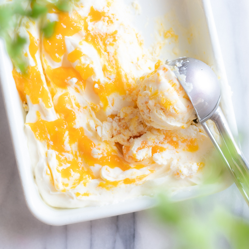 バットで簡単♩マンゴーヨーグルトアイス